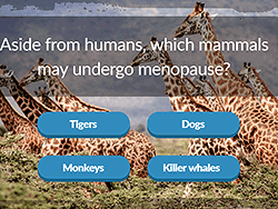 Animal Trivia