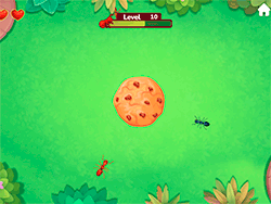 Ant vs Cookie