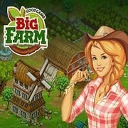 Big Farm