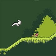 Bunny Hop