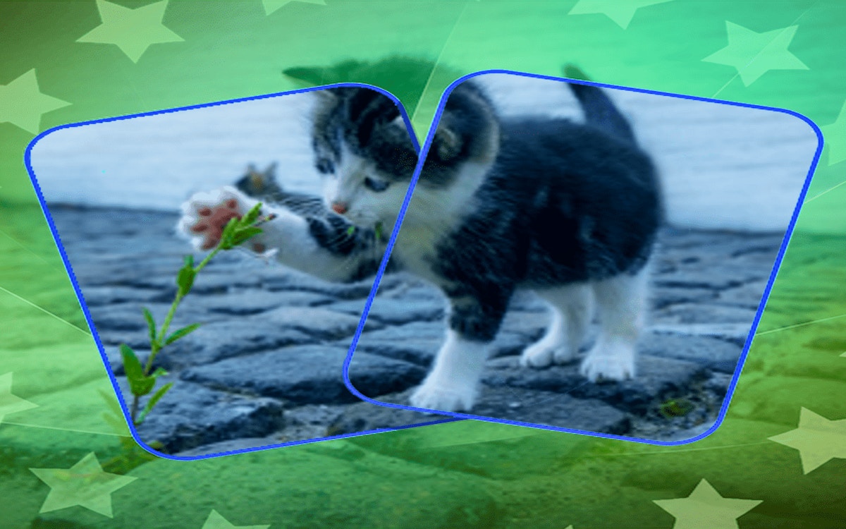 Cat Puzzle Memory Match