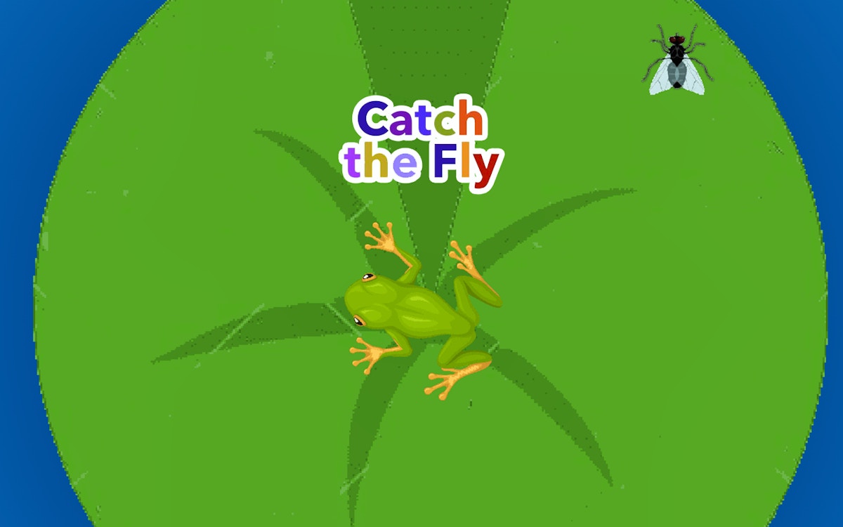 Catch the Fly