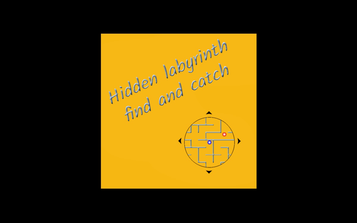Hidden labyrinth - find and catch
